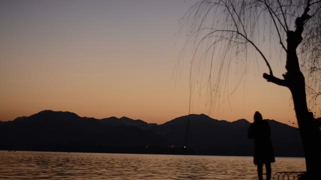 林花谢了春红散文
