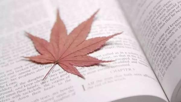 中考小說閱讀理解詞句含義