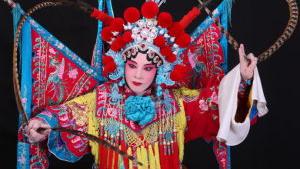梨花颂是什么流派