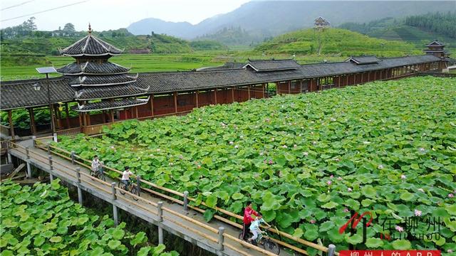 有关柳州的水佳句