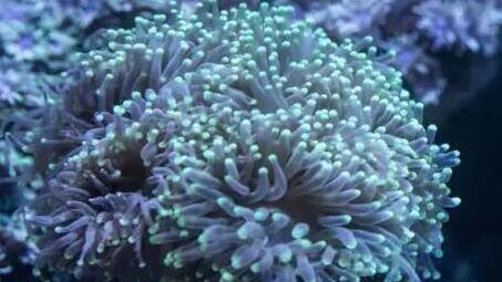 海洋生态系统包括哪三种