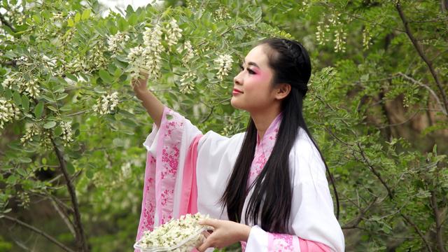 槐花的功效与作用