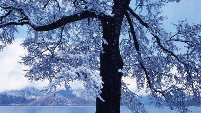 去賞雪景的詞句