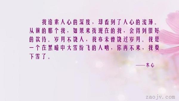 斯人已去是什么意思