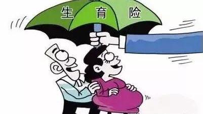生育保险上环报销多少