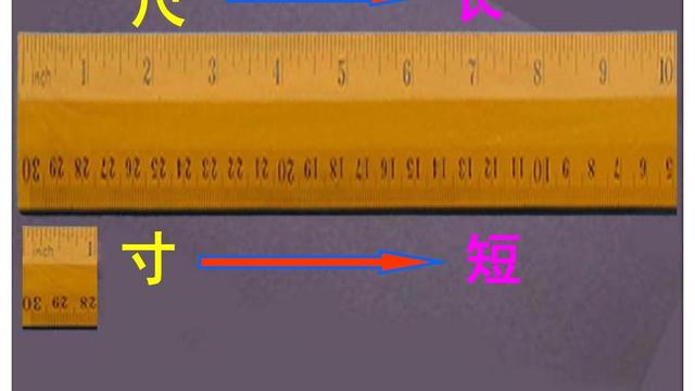 尺有所長寸有所短的字詞句段片