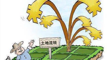 山东省土地流转合同范本精选