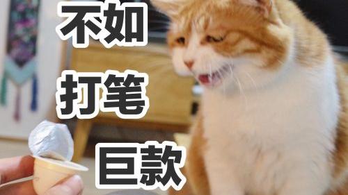 520网络情人节表白数字暗语