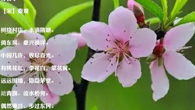 行香子古诗赏析