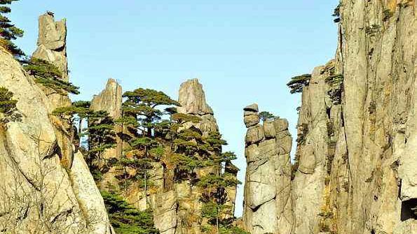 黄山奇松教学设计通用