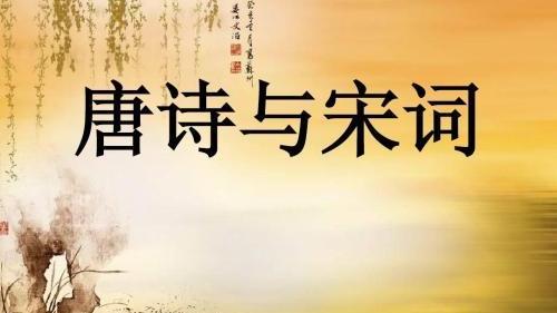 唐詩宋詞元曲一共有多少首