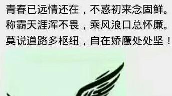 5句適合當昵稱的詩詞句子