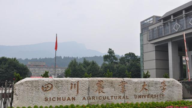 二本农业大学有哪些