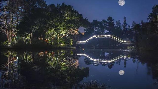 與明月夜對仗的詞句