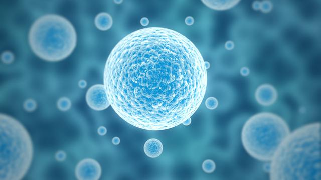 生物质的种类