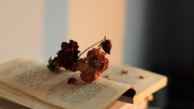 勵志書籍中的勵志詞句