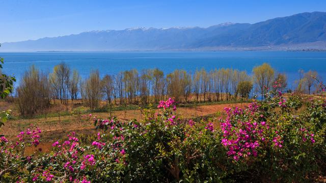 大理苍山和洱海哪个好耍