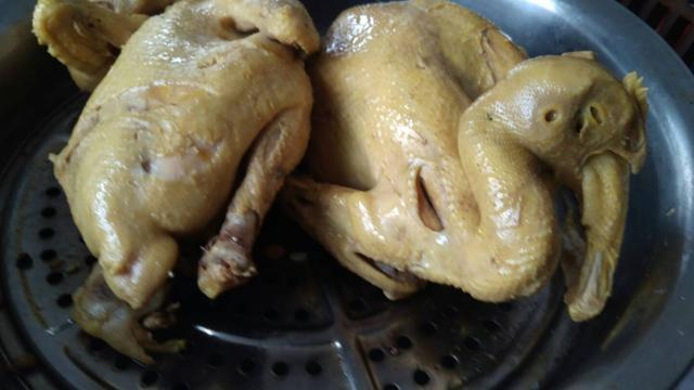 为什么鸡的气味那么重