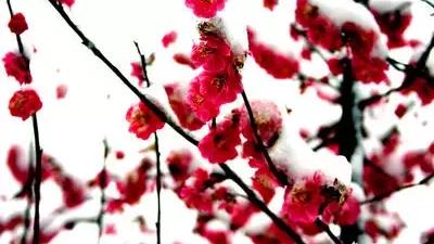 唐詩宋詞元曲總結
