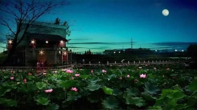 描写夏天夜晚的诗句