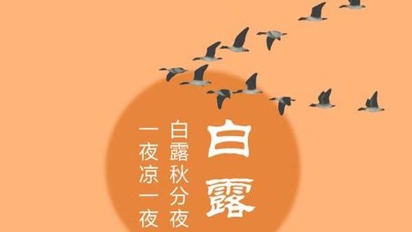 描寫白露的詩句有哪些