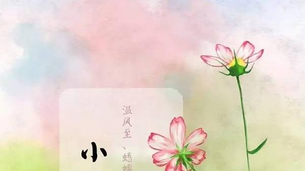 关于小暑的诗句简短