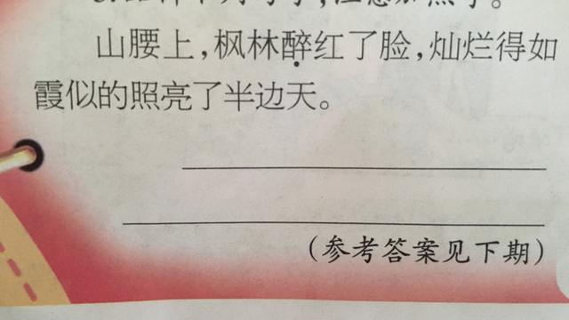 詞句品析是什么