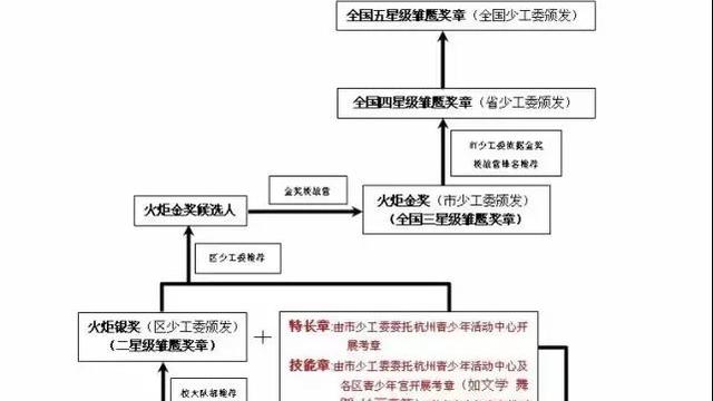 雏鹰奖章申请书通用 雏鹰奖章申报表怎么填（优秀）