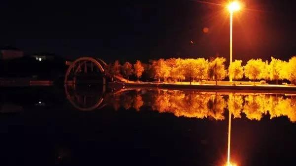 怀君属秋夜全诗译文