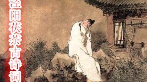 寫茯茶的詞句