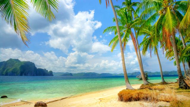 巽寮湾哪里吃海鲜