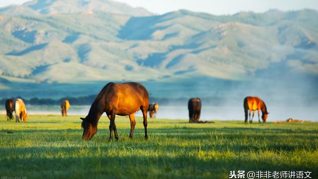 健壮与拼音范文精选