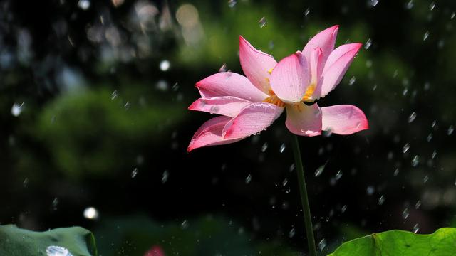 写雨的古诗词