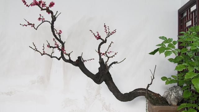 21古诗词三首五年级上册教案