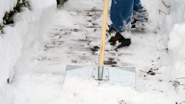 在学校铲雪的作文