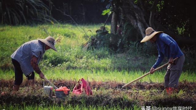 悯农古诗其一李绅