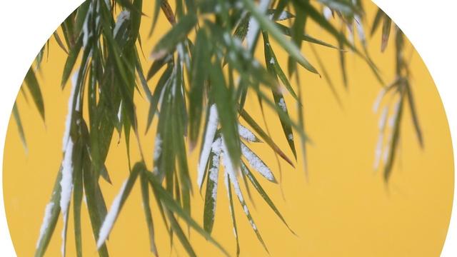 唯美古诗词大全简短