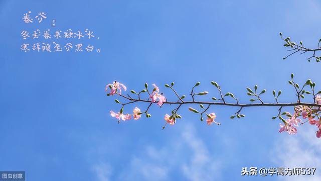 春节很忙作文