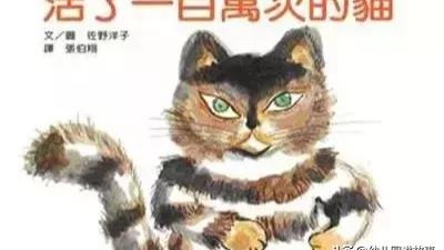 活了一百万次的猫