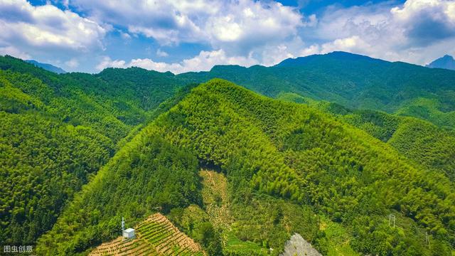 《青山不老》教学反思