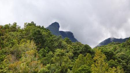 到鹦哥岭找鹦哥