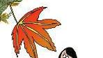 行走在美好中作文500字