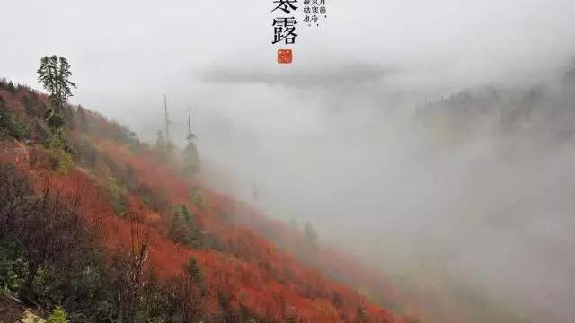 寒露节气中医养生常识
