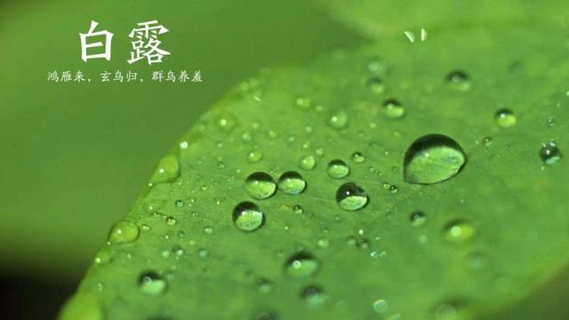 雨水节气的古诗词大全