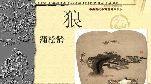 人与动物10篇
