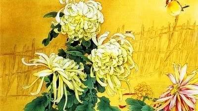 菊花的诗句经典句子