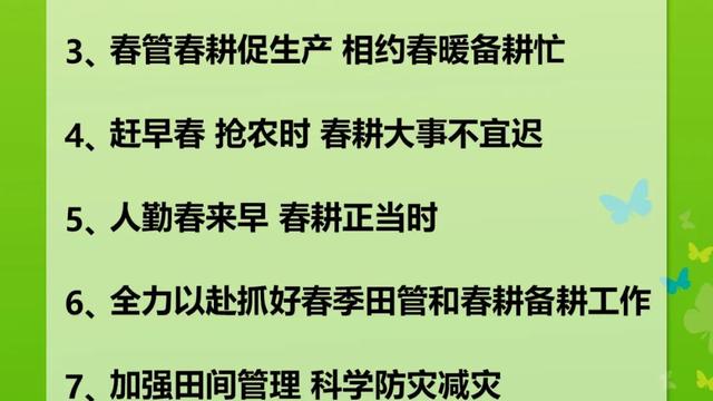 老百姓春耕宣传标语（精选）