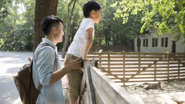 关于父亲的诗句大全