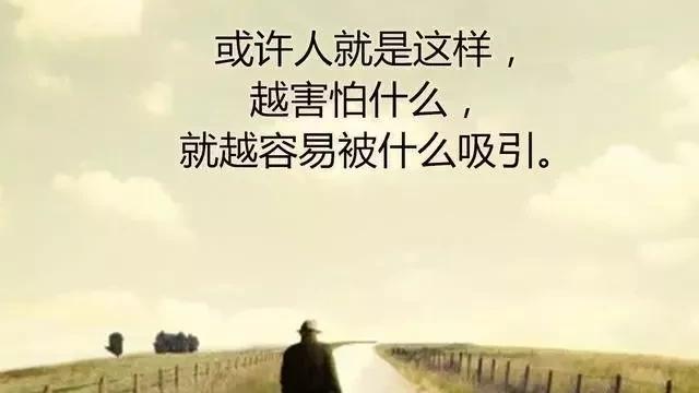 《一个人的朝圣》语录