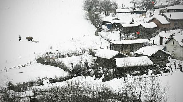 天净沙冬古诗